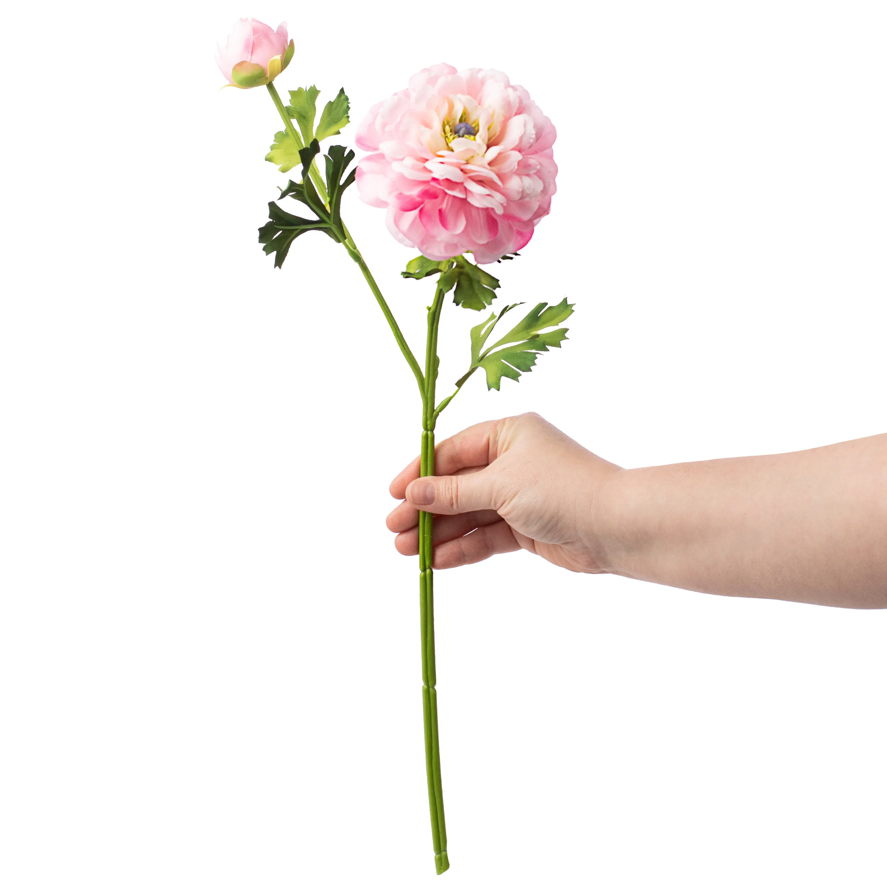 20" German Ranunculus Spray: Pink