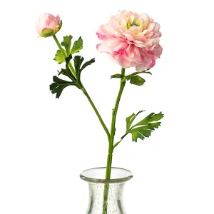 20" German Ranunculus Spray: Pink