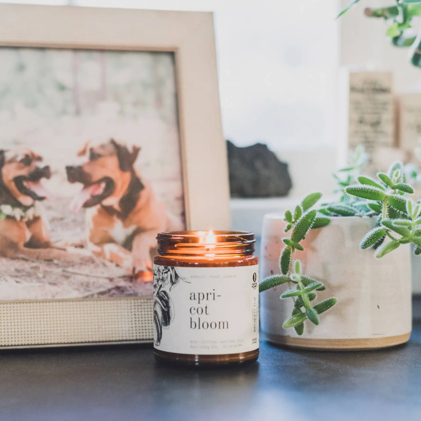 Broken Top Candles | Apricot Bloom