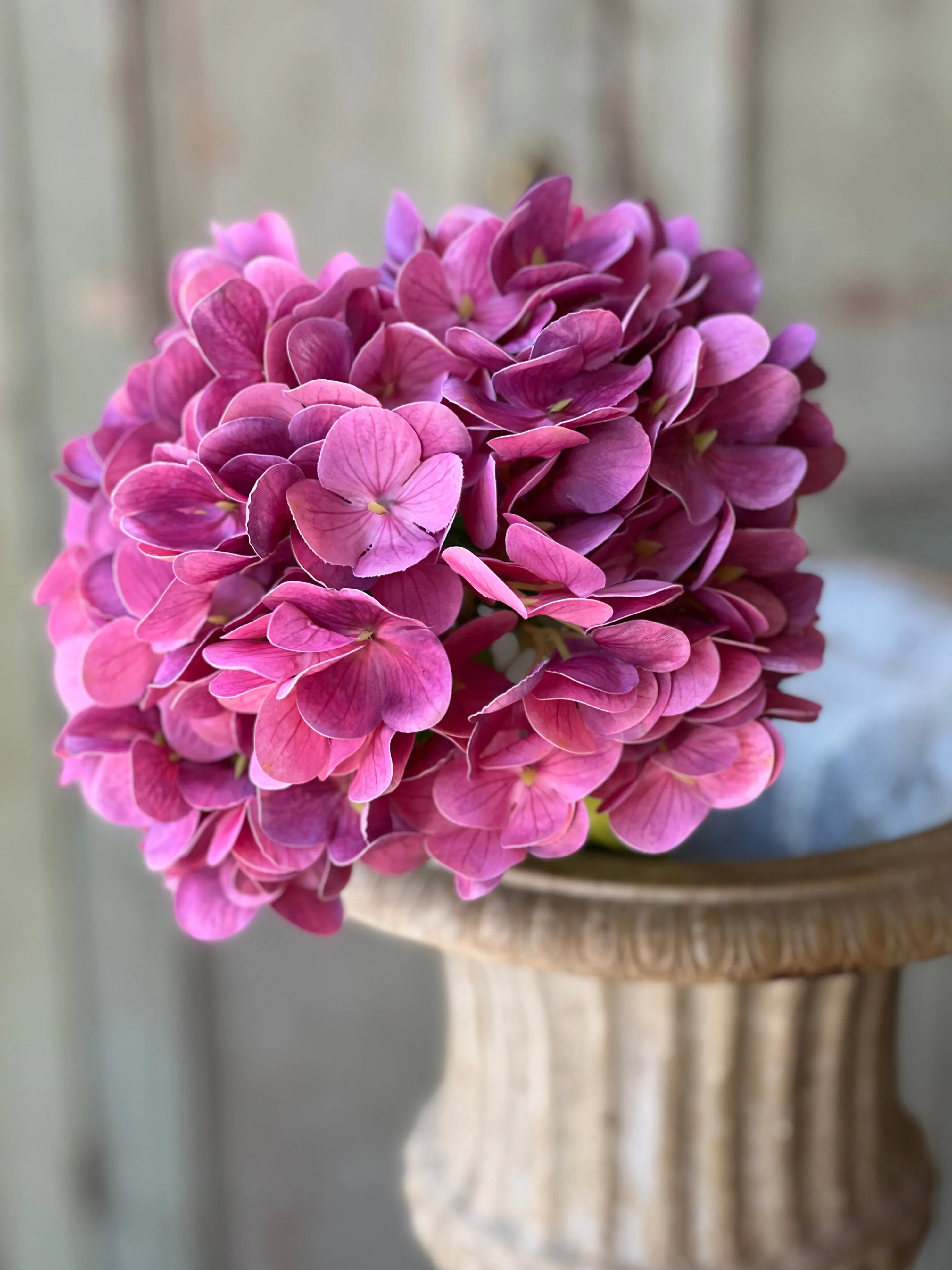 Cameo Hydrangea | 22" | Vanity