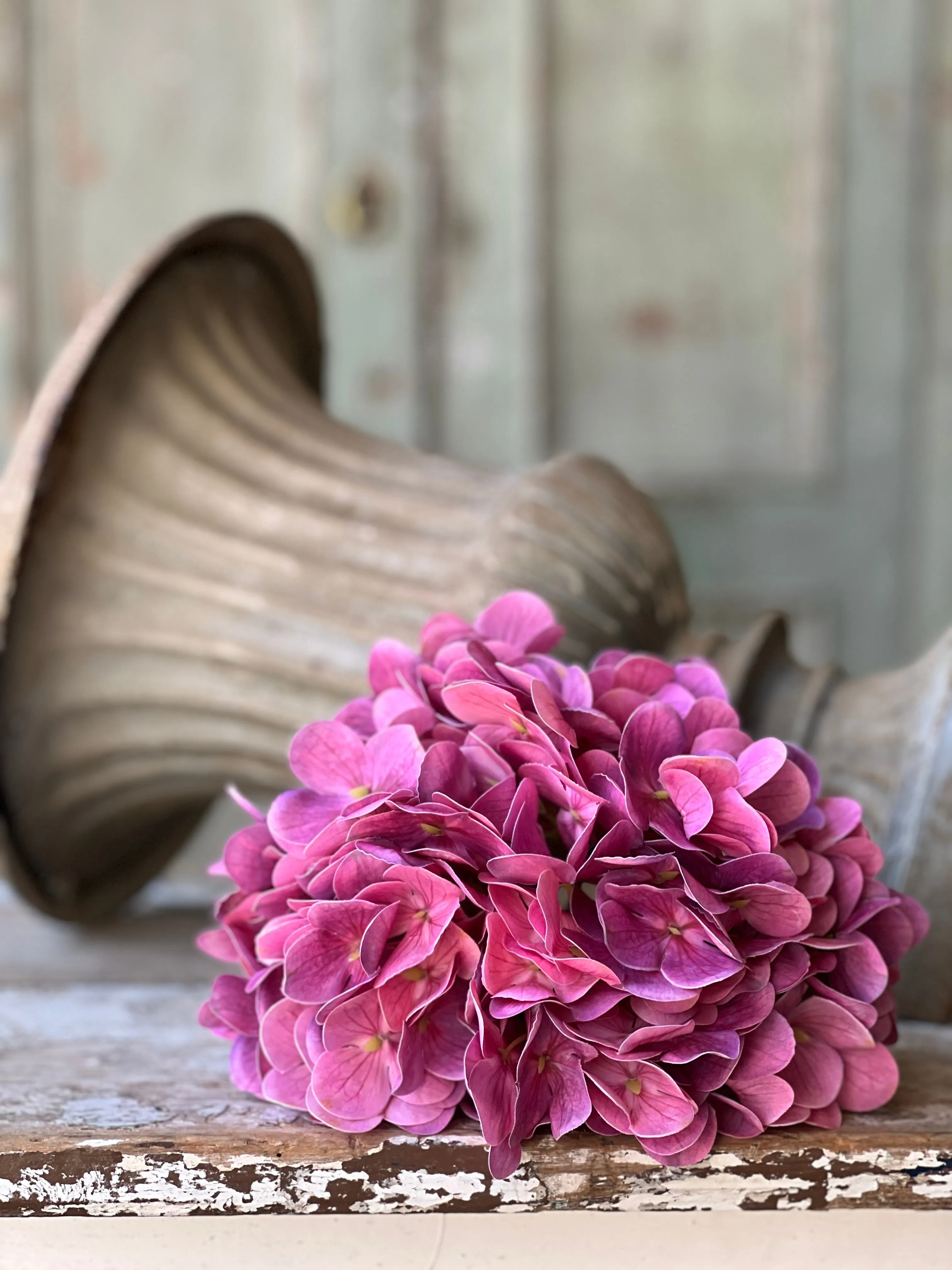 Cameo Hydrangea | 22" | Vanity