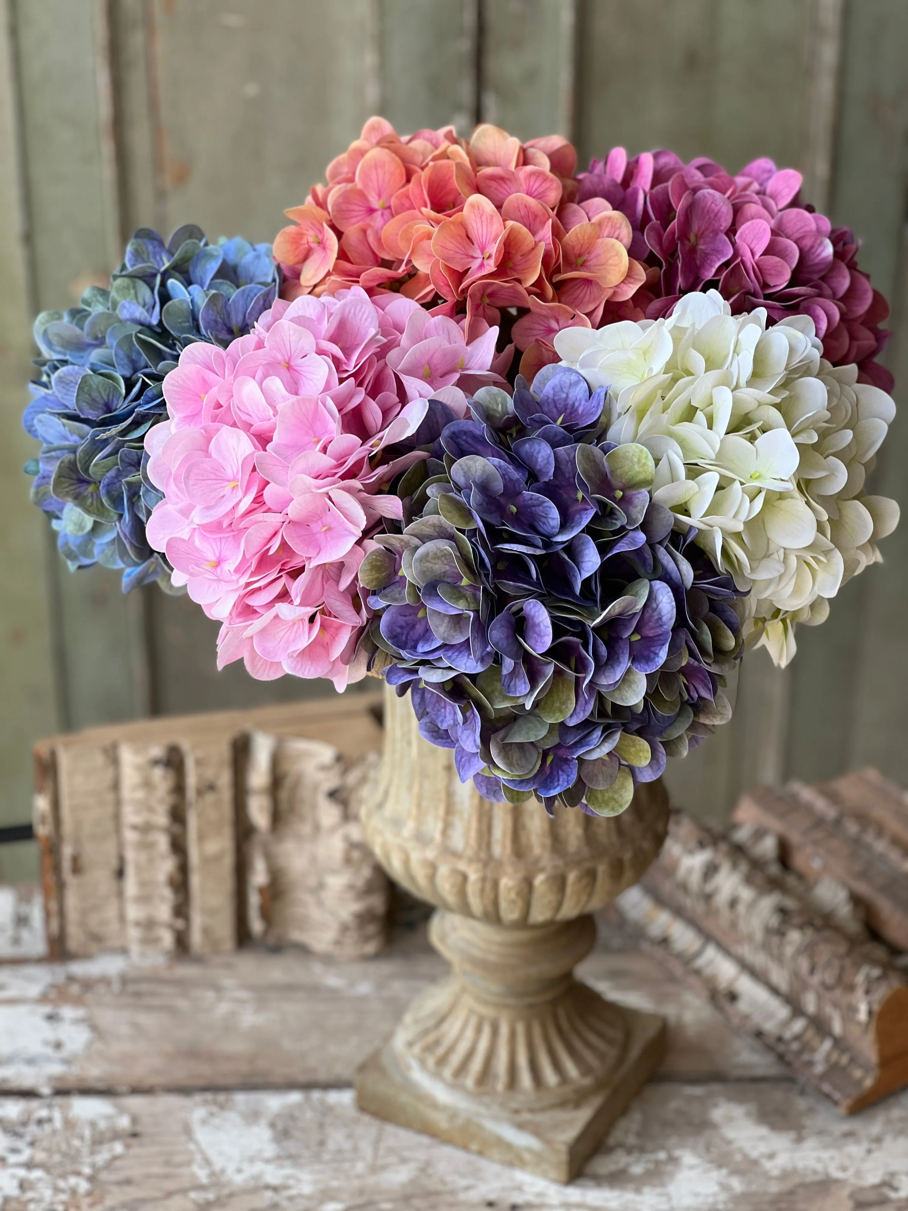 Cameo Hydrangea | 22" | Vanity