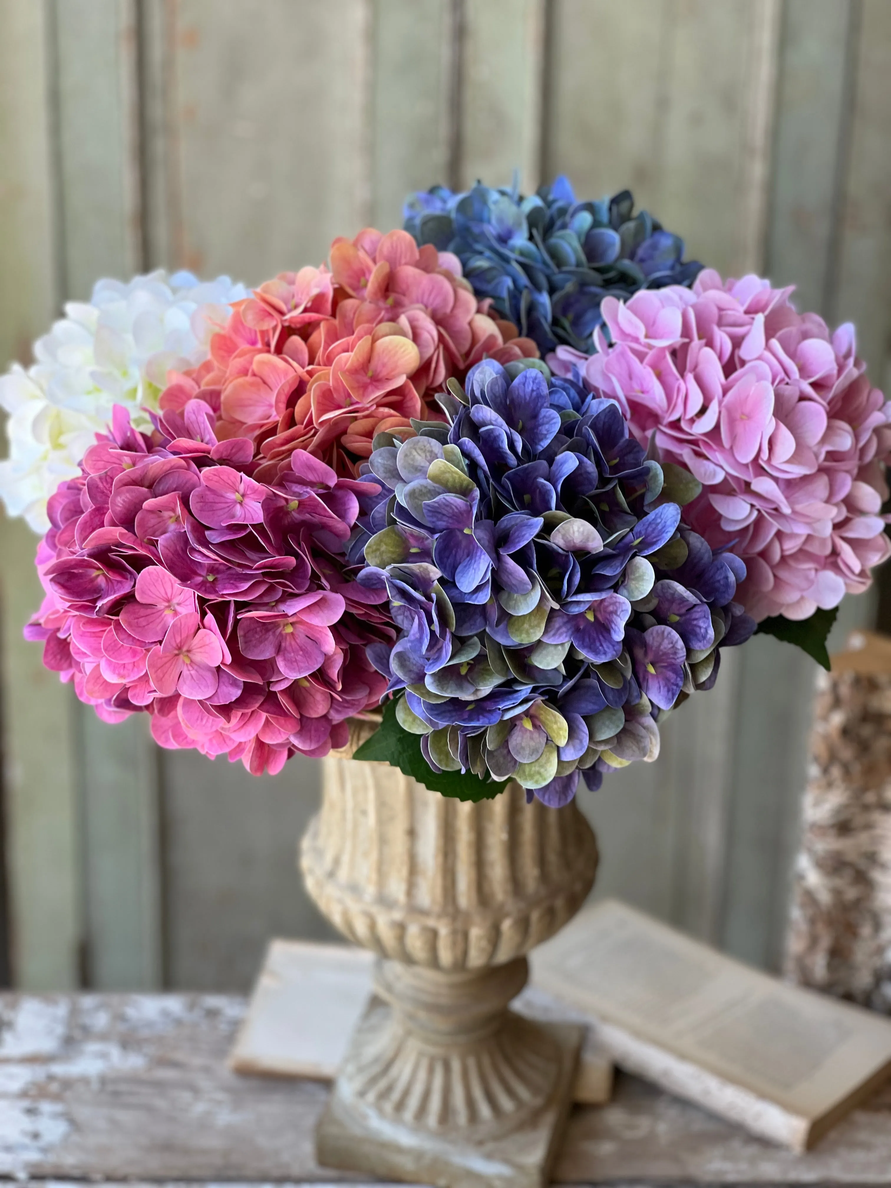 Cameo Hydrangea | 22" | Vanity