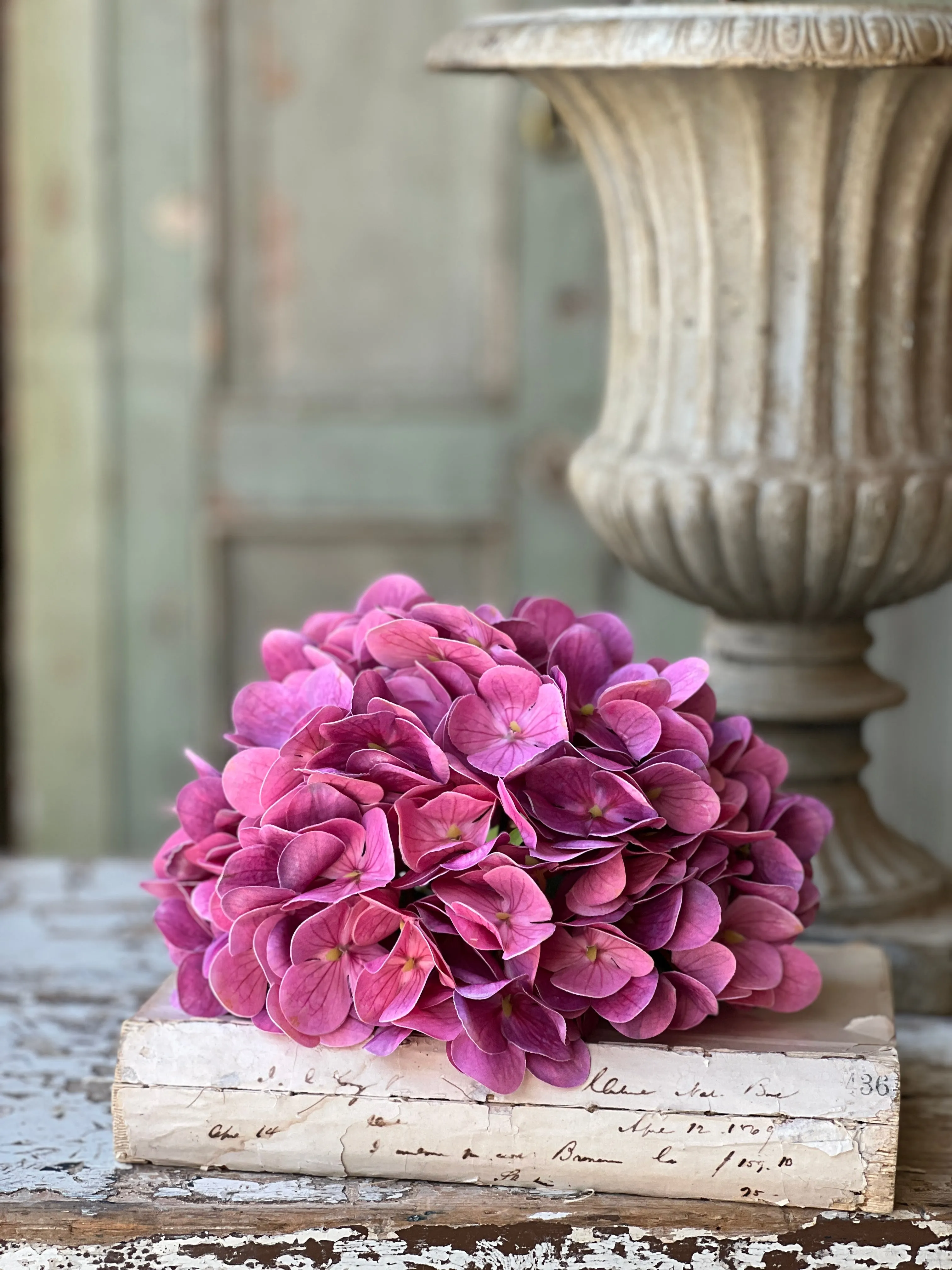 Cameo Hydrangea | 22" | Vanity