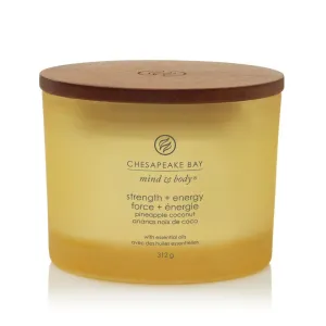 Chesapeake Bay 312g Strength & Energy 3-Wick Jar Candle