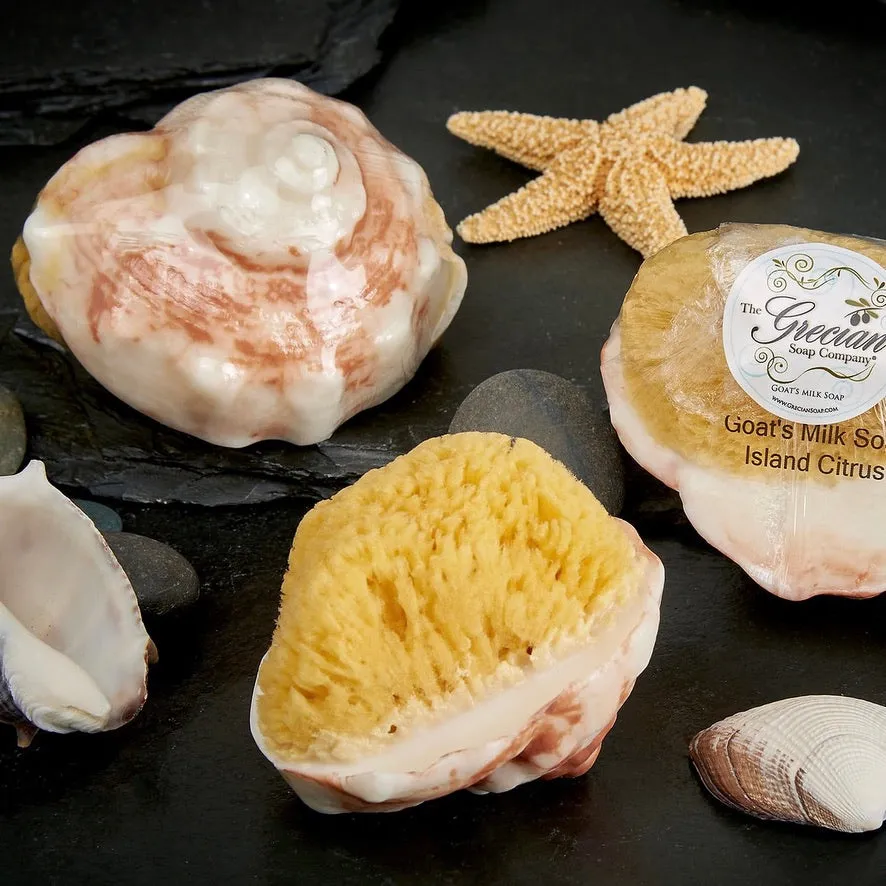 Conch Shell Soap with Natural Sea Sponge - Island Citrus