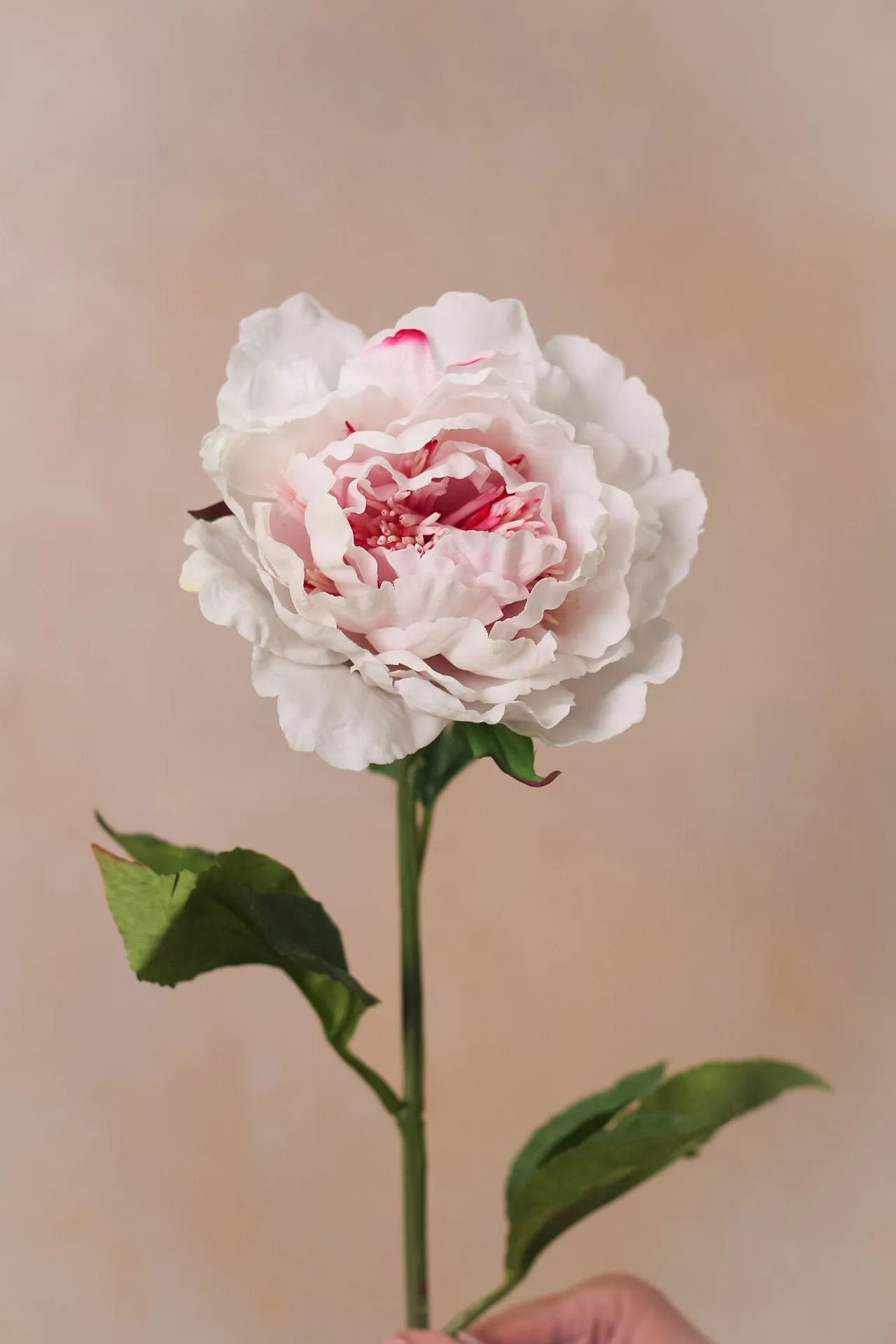 Faux Light Pink Peony Stem
