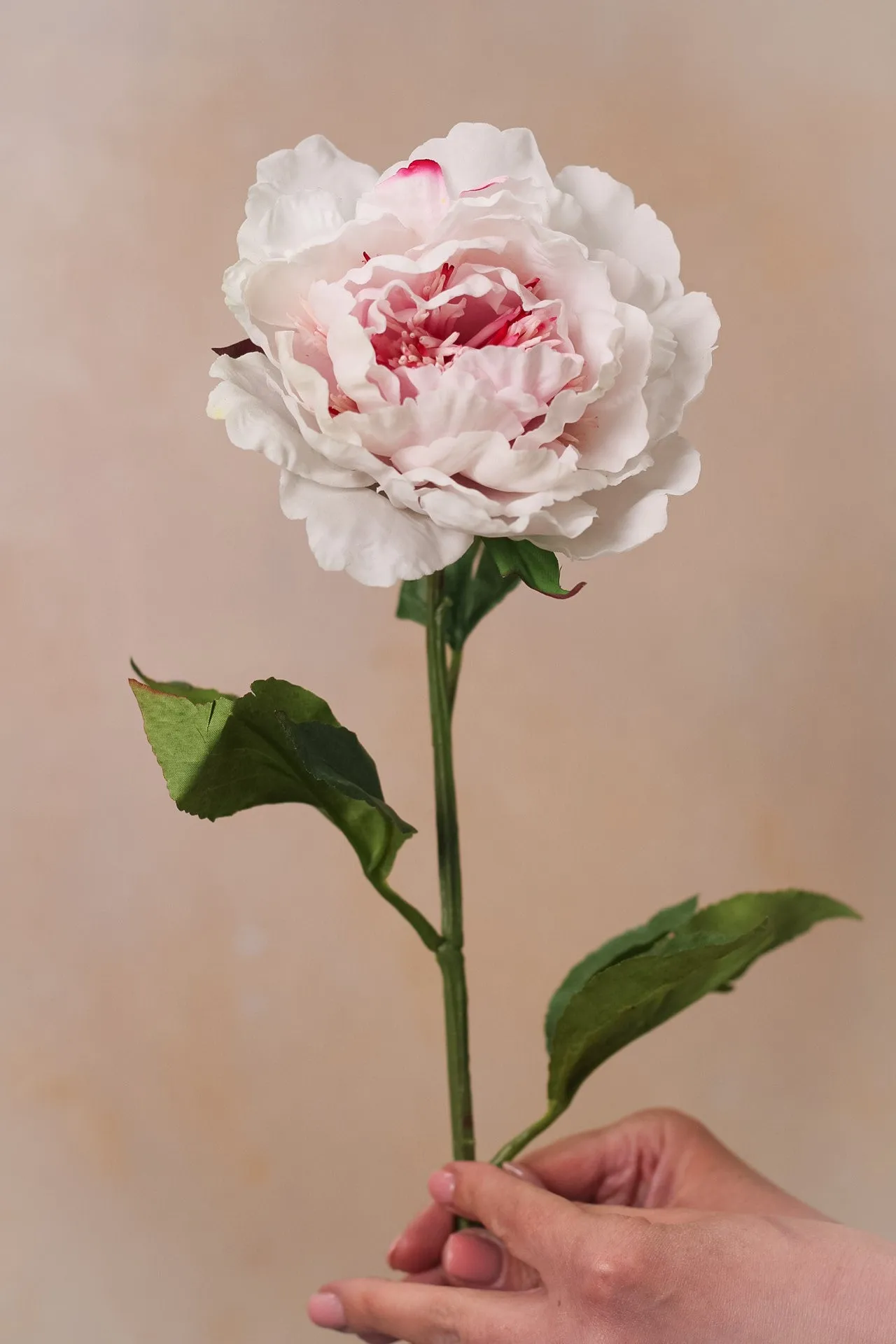 Faux Light Pink Peony Stem