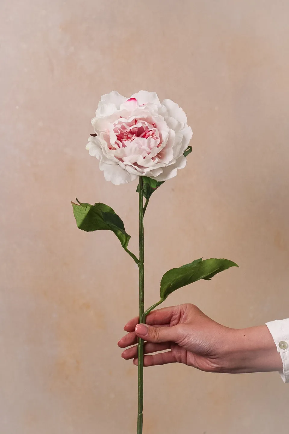 Faux Light Pink Peony Stem