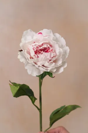 Faux Light Pink Peony Stem