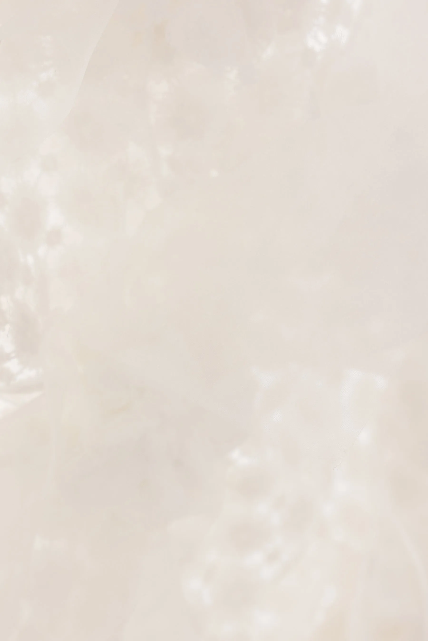 Floating Little Fleurs lace and organza sleeveless top