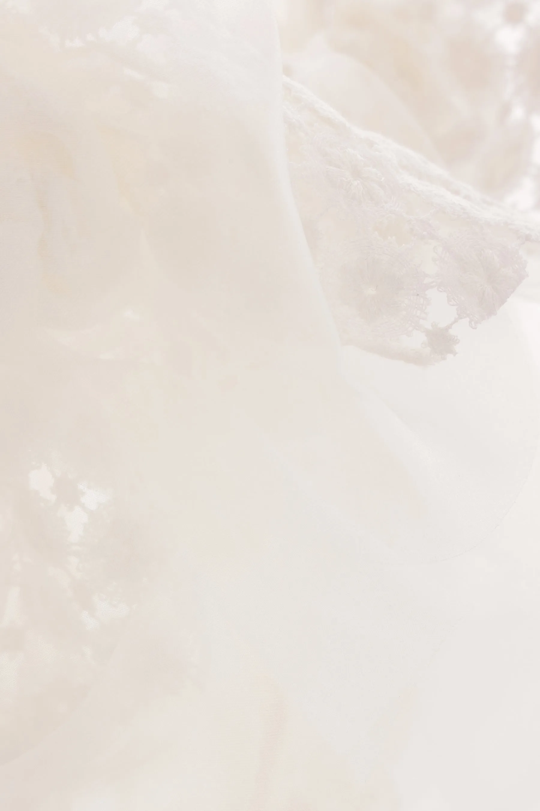 Floating Little Fleurs lace and organza sleeveless top