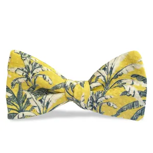 Islamorada: Carolina Cotton Bow