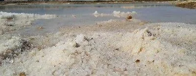Platinum Diamond Salt Gourmet Salt From The Dead Sea 3.87 oz / 110 grams