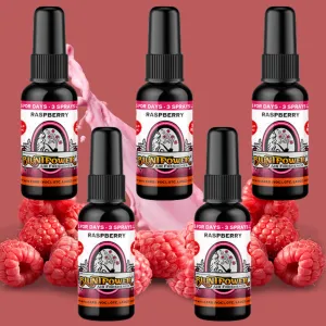 Raspberry Air Freshener Bundle (5 Pack)