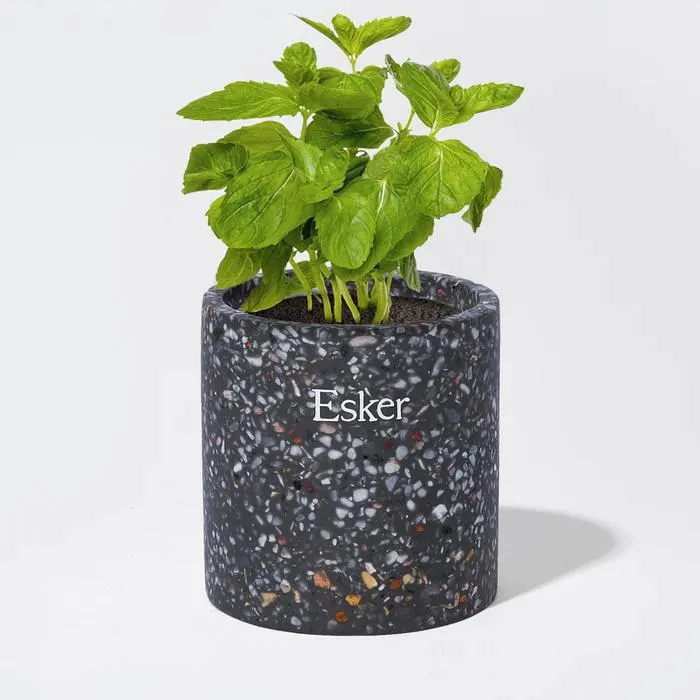 Travertine Plantable Candle