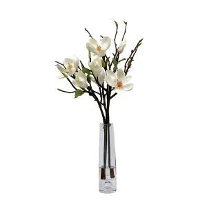 Tree Magnolia in Vase 25"