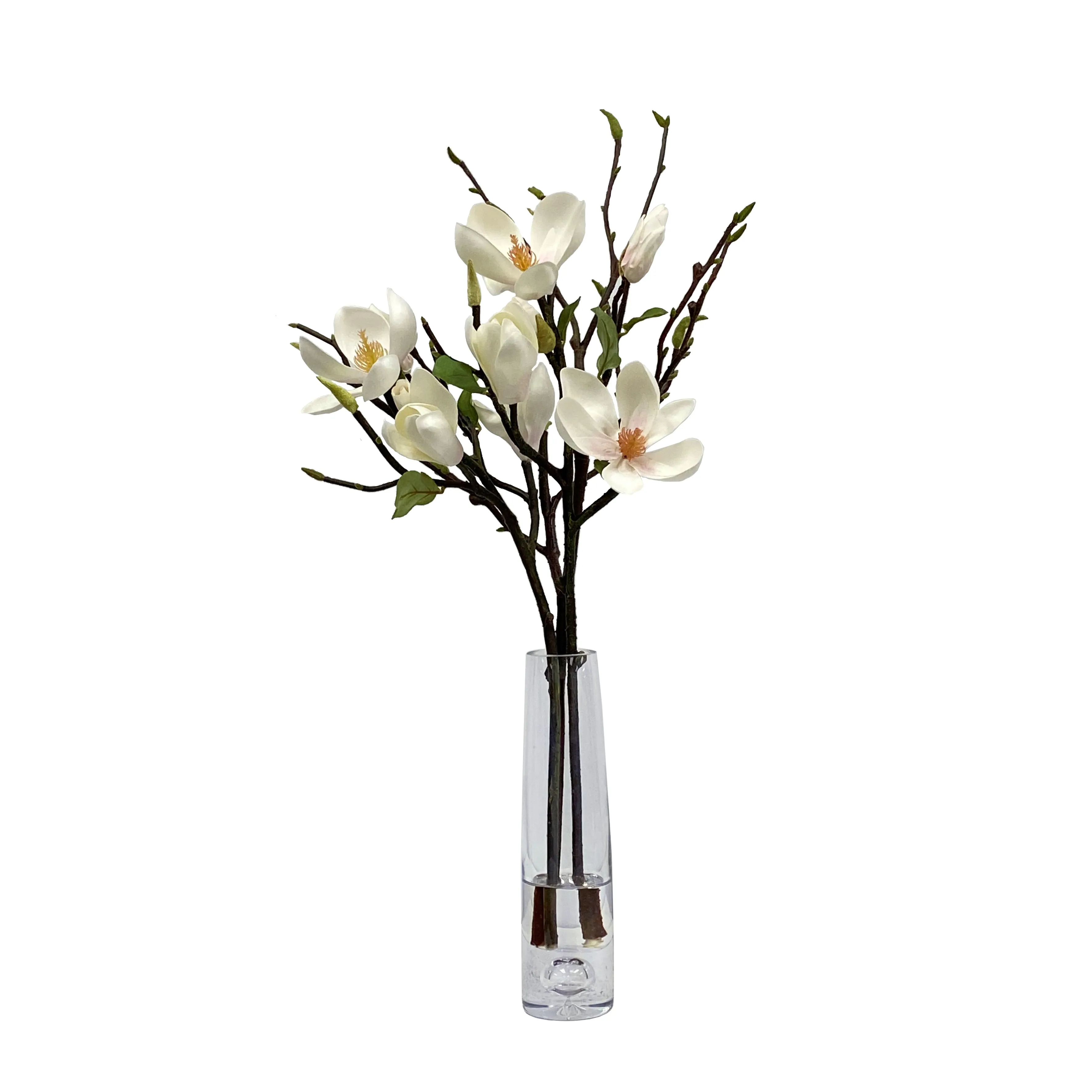 Tree Magnolia in Vase 25"