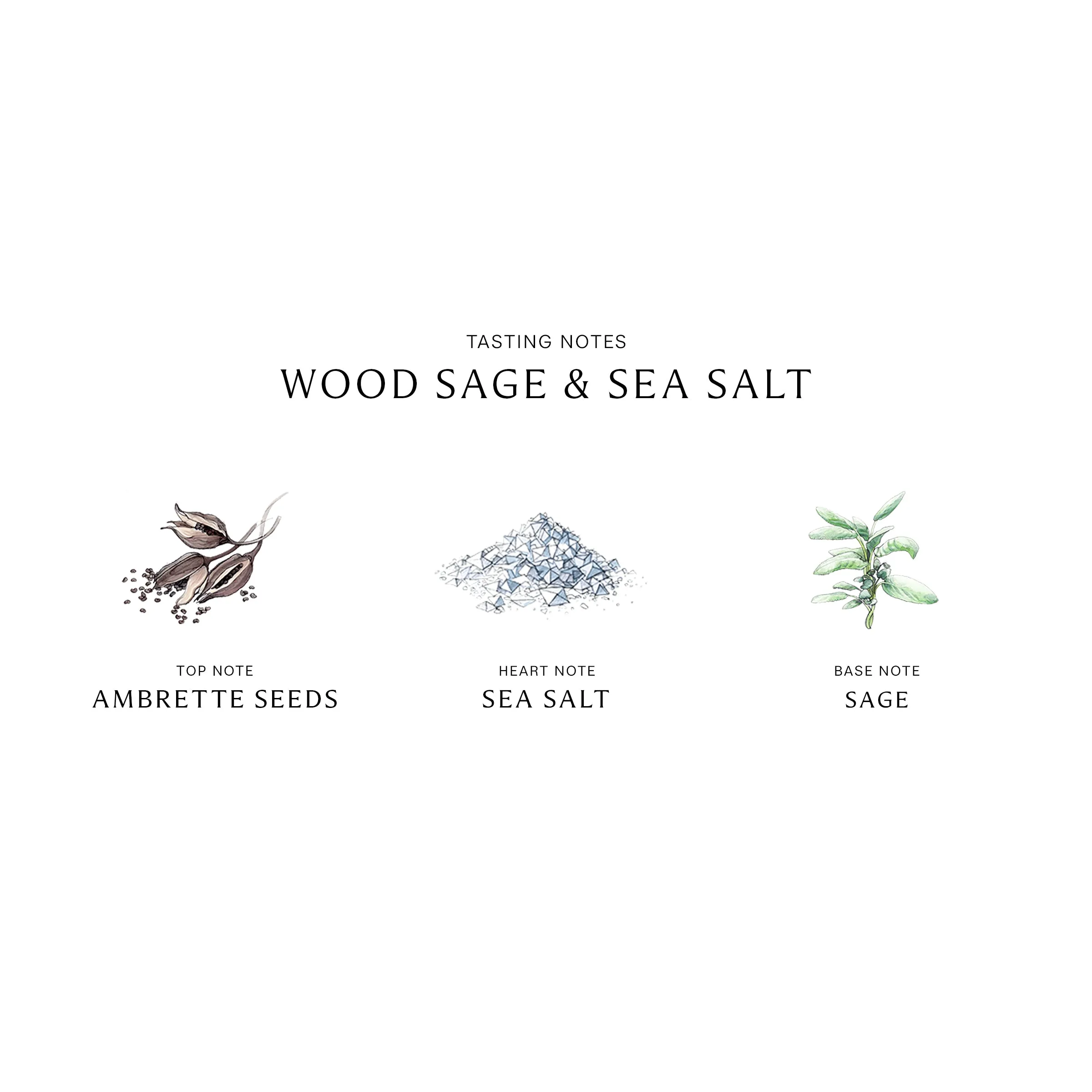 Wood Sage & Sea Salt